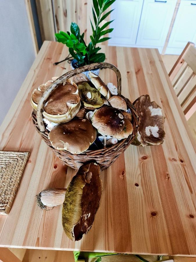 Chata Zorka Opařany Dış mekan fotoğraf